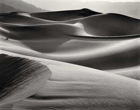 evening_dunes_1980.jpg