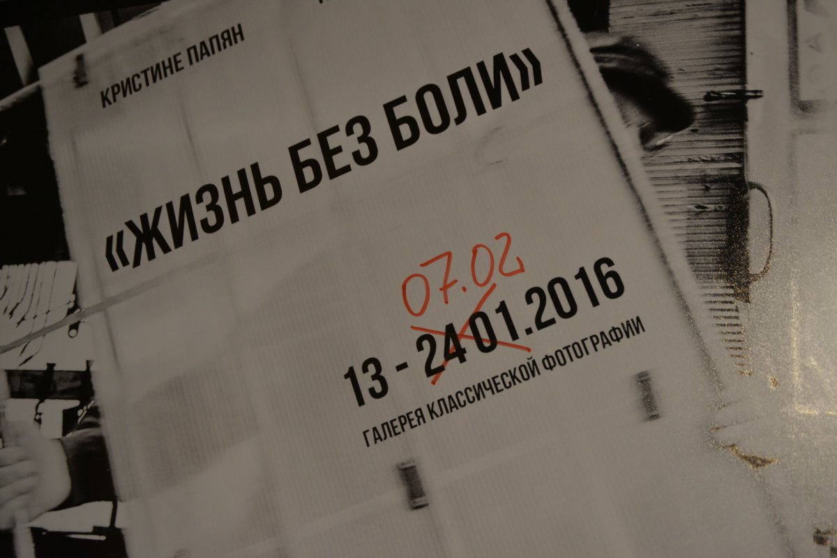 yar_6037.jpg